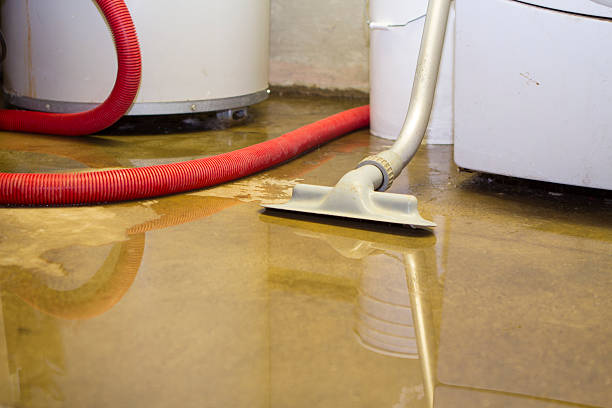 Best Water damage cleanup near me  in Holstein, IA